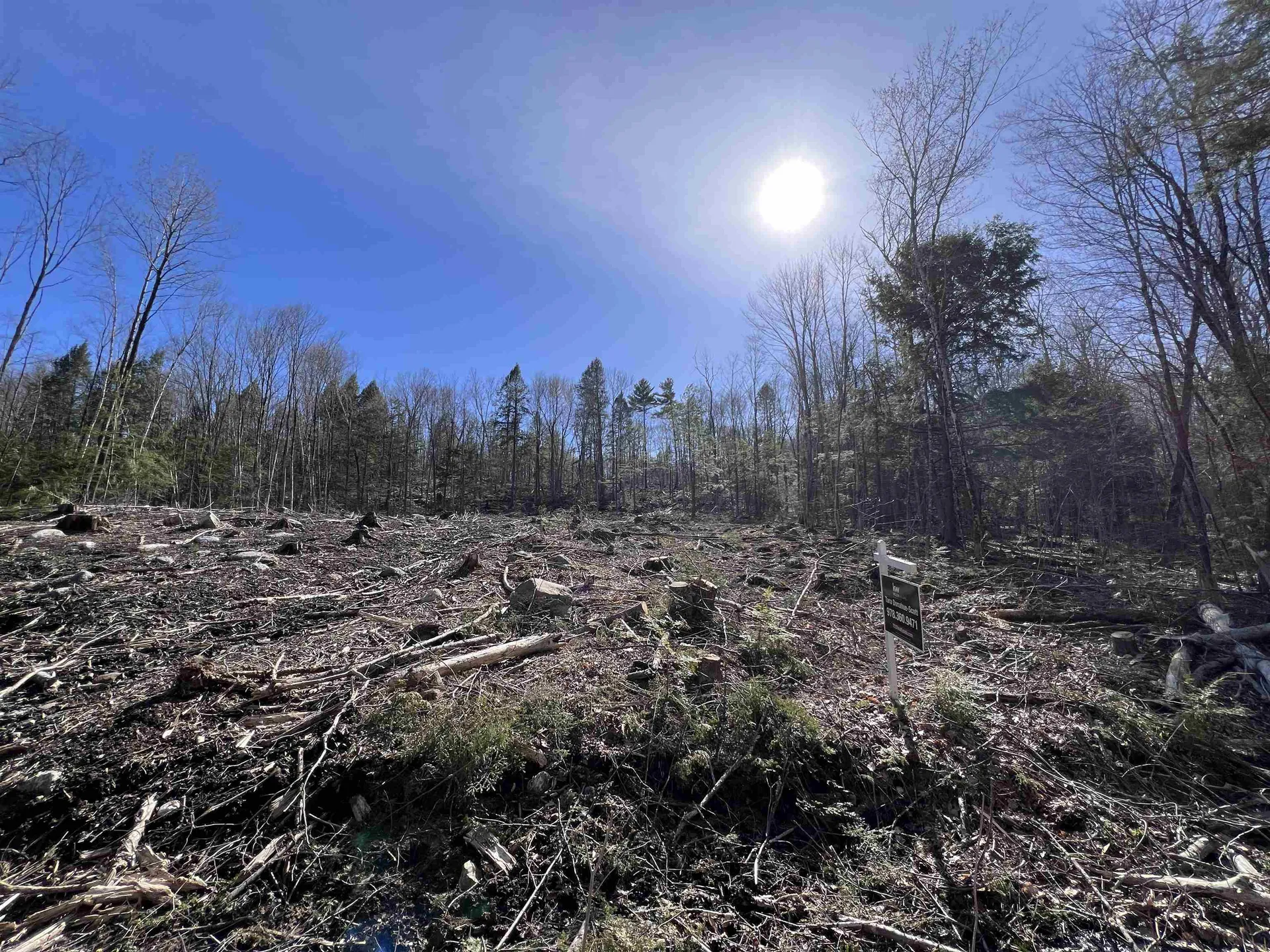 Lot 14 Northeast Pond Road Milton NH 03851