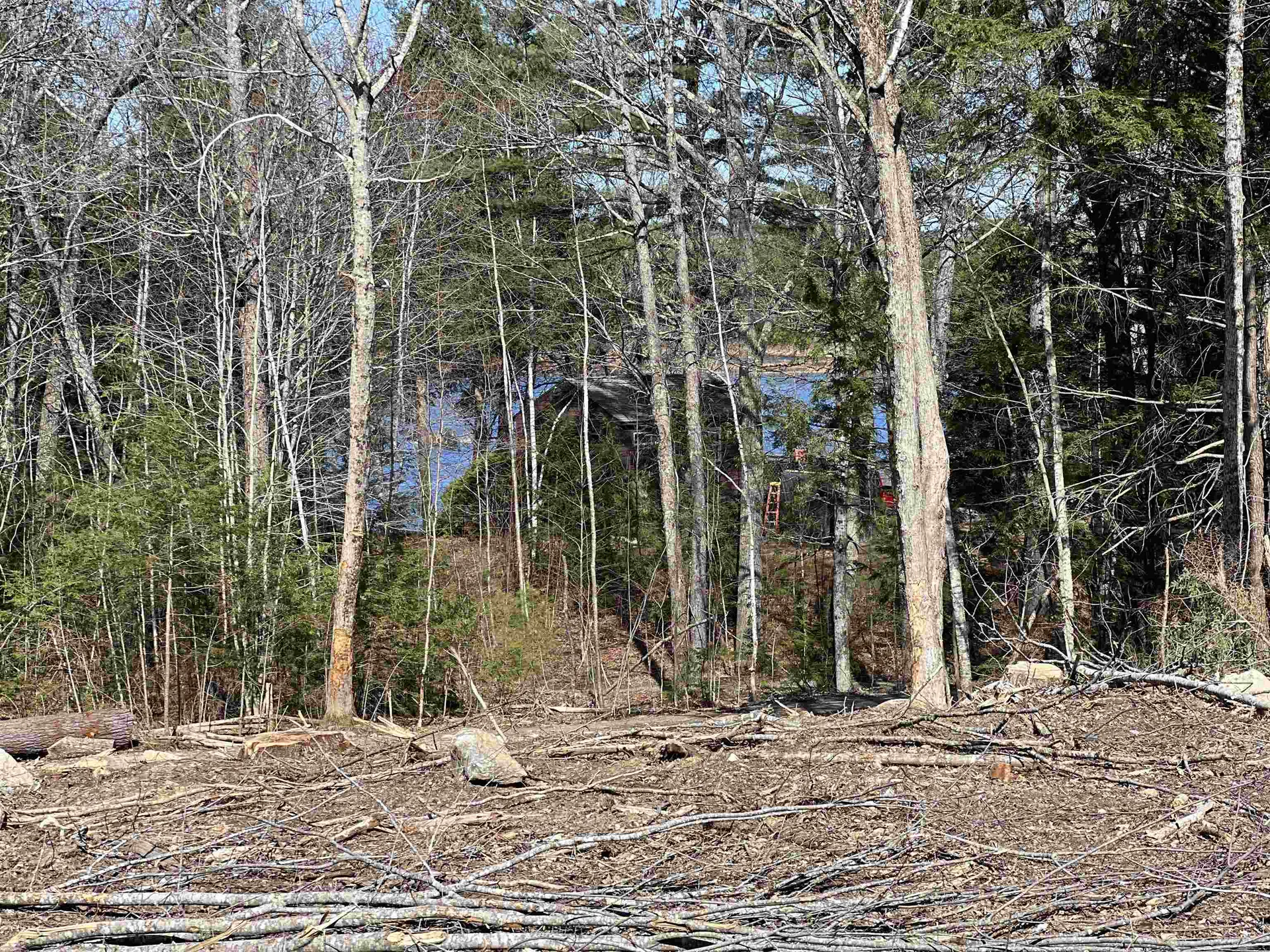 Lot 14 Northeast Pond Road Milton NH 03851
