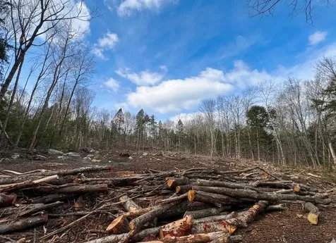 Lot 14 Northeast Pond Road Milton NH 03851