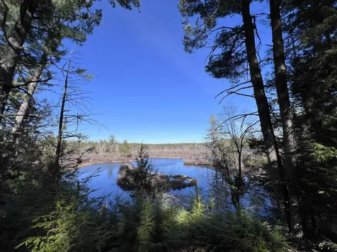 Lot 14 Northeast Pond Road Milton NH 03851