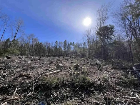 Lot 14 Northeast Pond Road Milton NH 03851