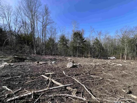 Lot 14 Northeast Pond Road Milton NH 03851