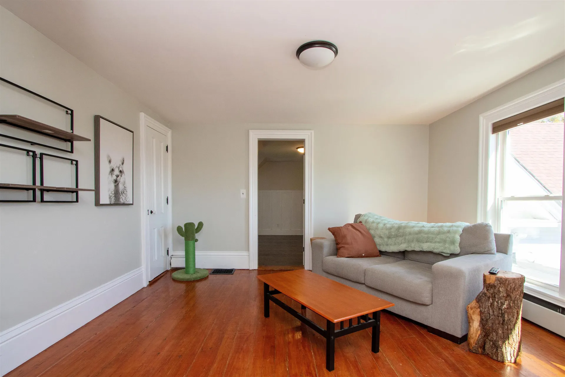 884 Hawkins Road Danville VT 05828
