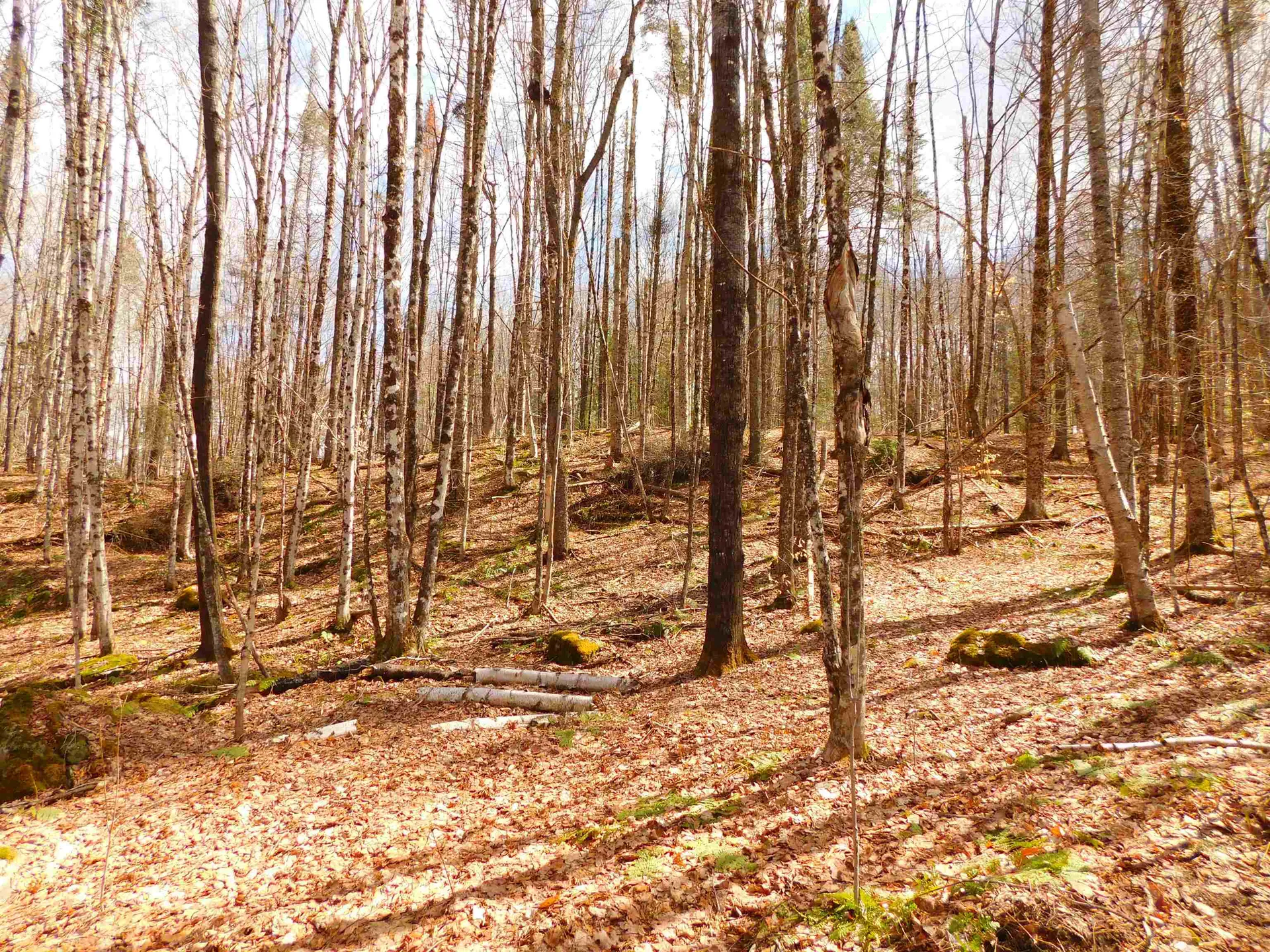 87-89 Sullivan Drive Stewartstown NH 03576