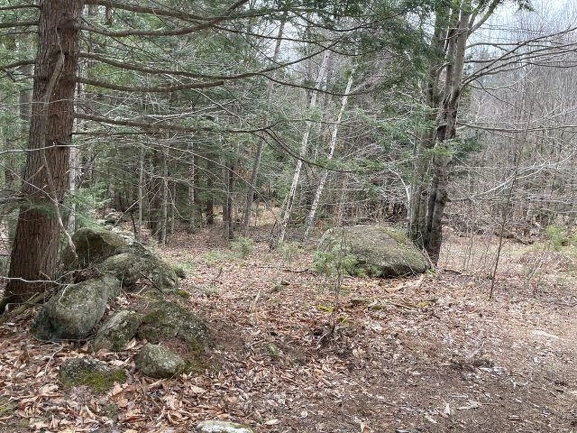 241 Smith Pond Road Washington NH 03280