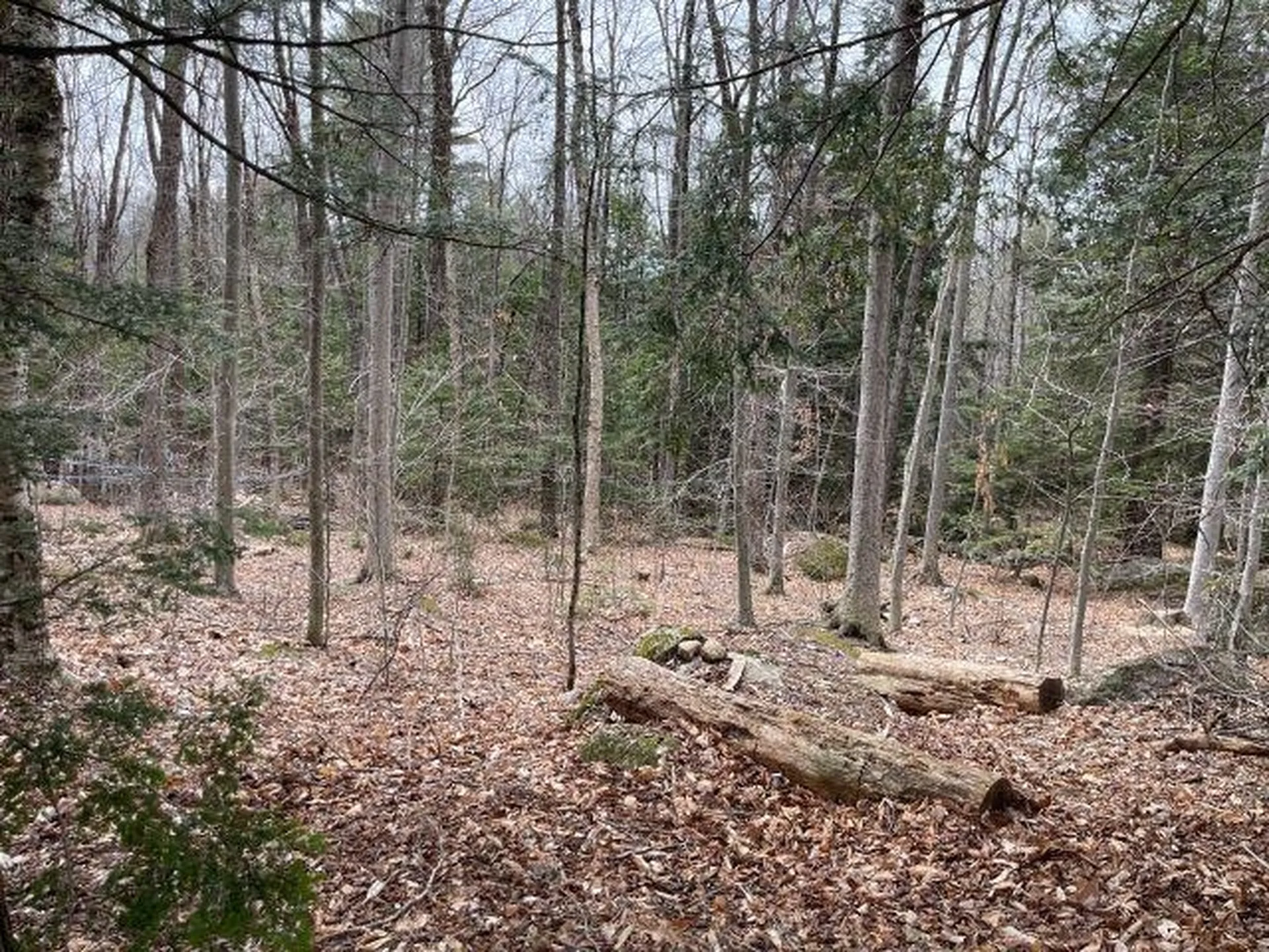 241 Smith Pond Road Washington NH 03280