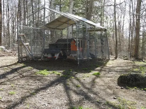 241 Smith Pond Road Washington NH 03280