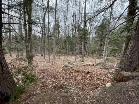 241 Smith Pond Road Washington NH 03280