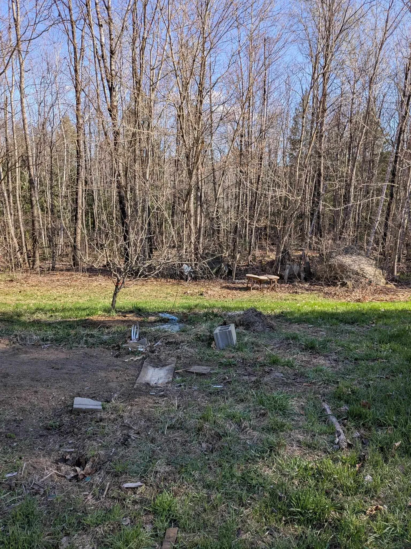 19 Easy Avenue Albany NH 03818