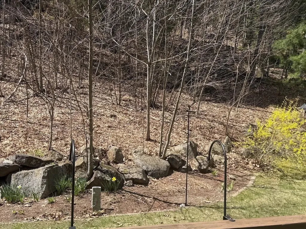 62 Collins Landing Road Weare NH 03281