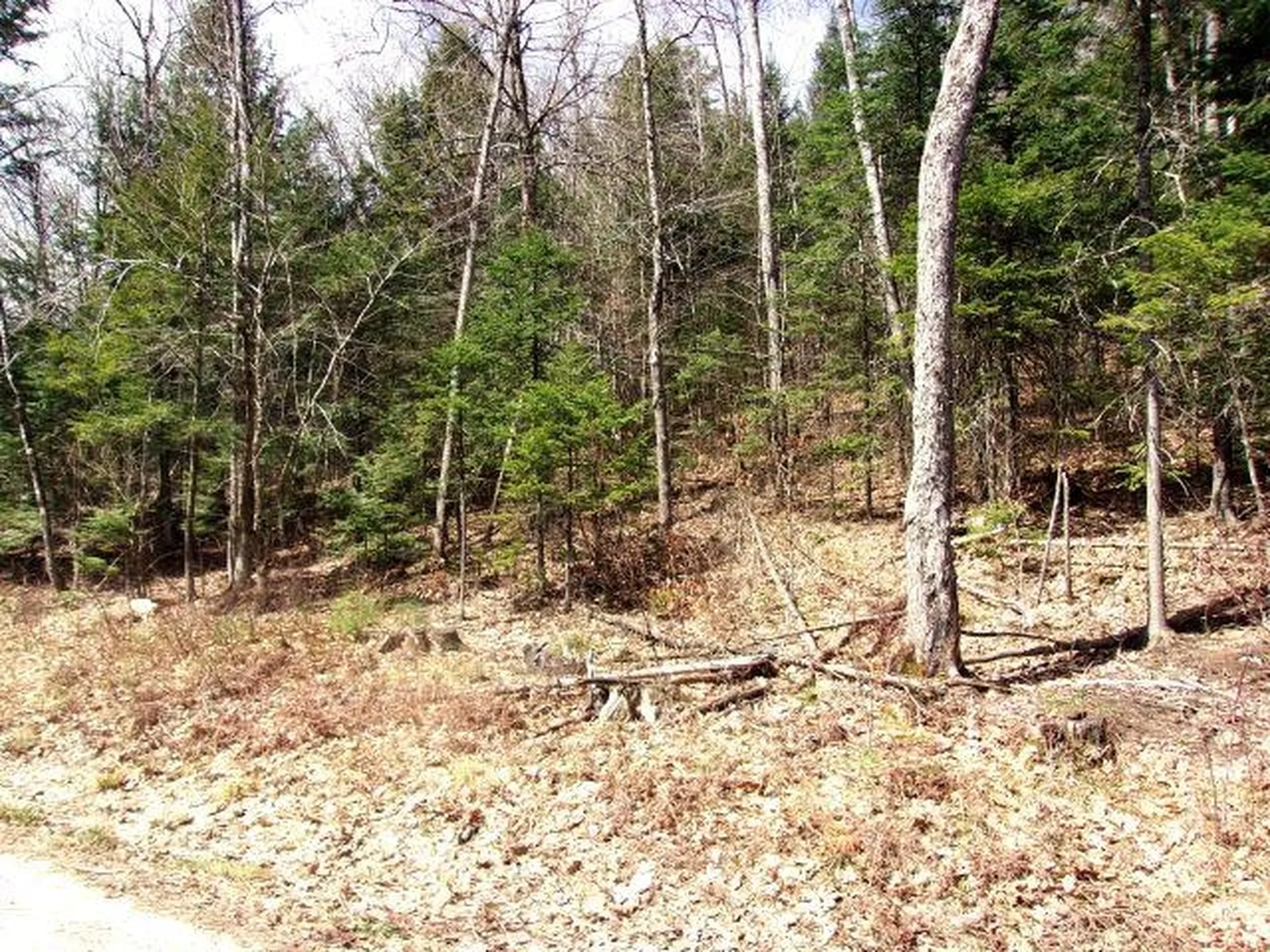 French Pond Road Haverhill NH 03785