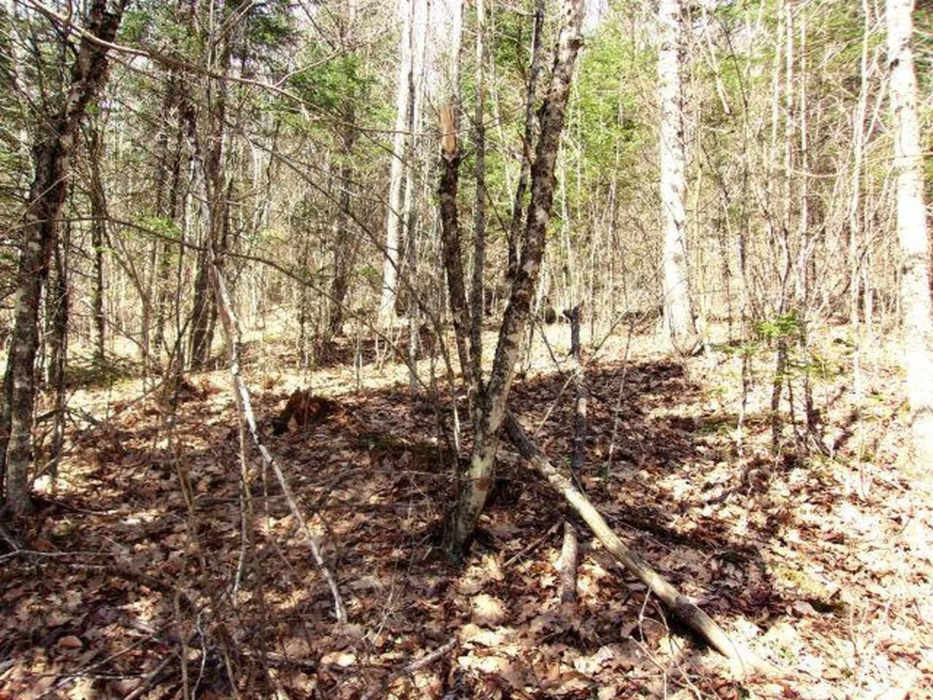 French Pond Road Haverhill NH 03785
