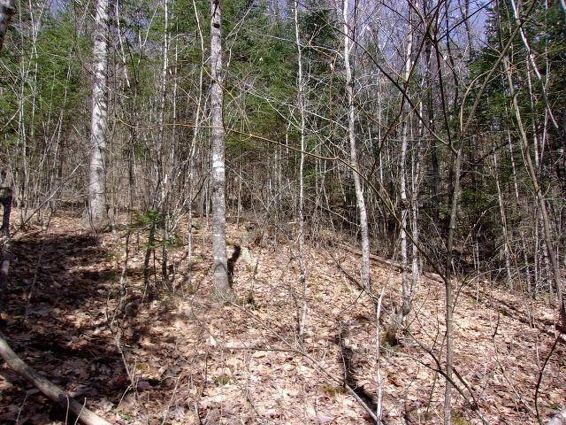 French Pond Road Haverhill NH 03785
