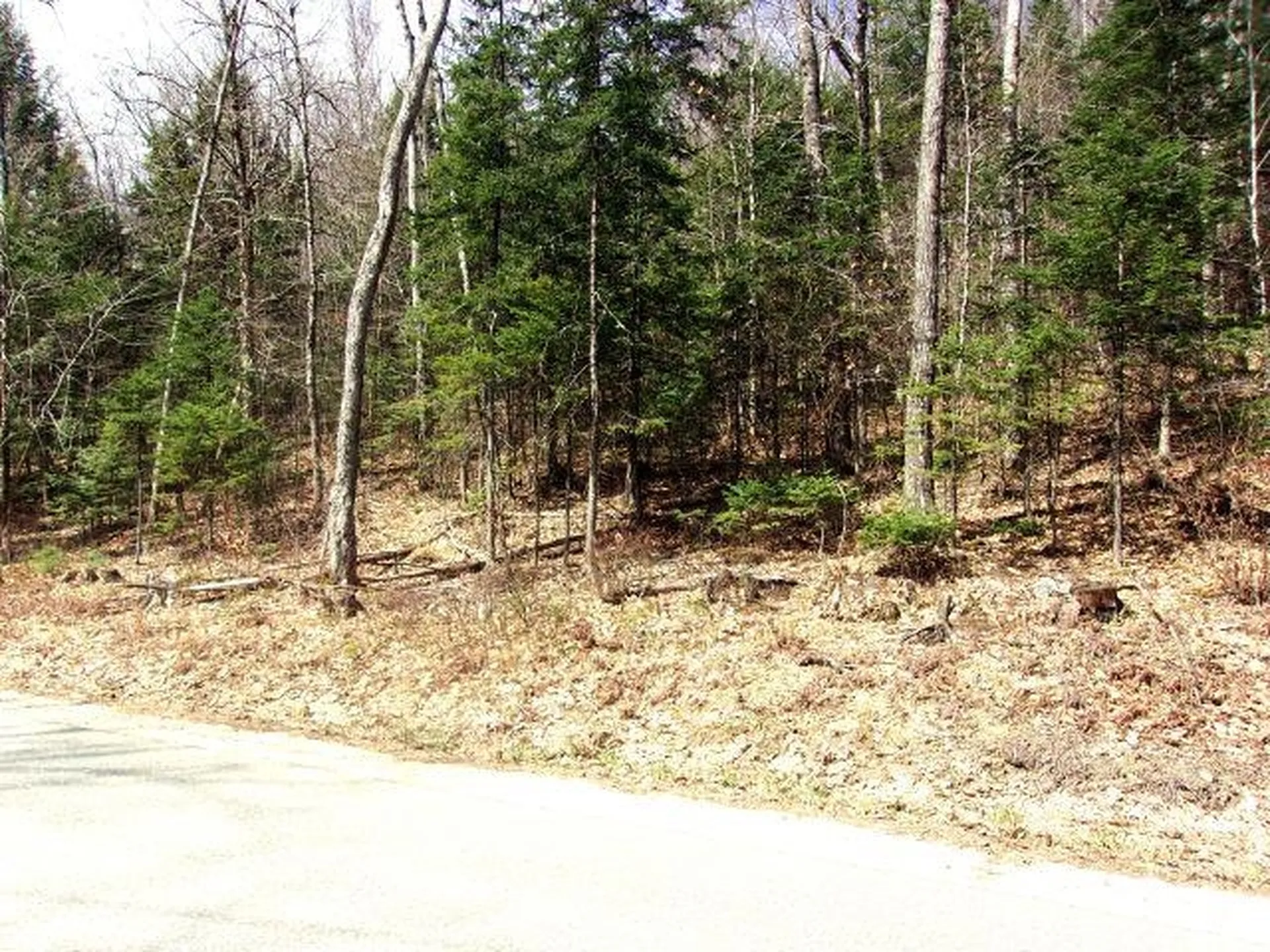 French Pond Road Haverhill NH 03785