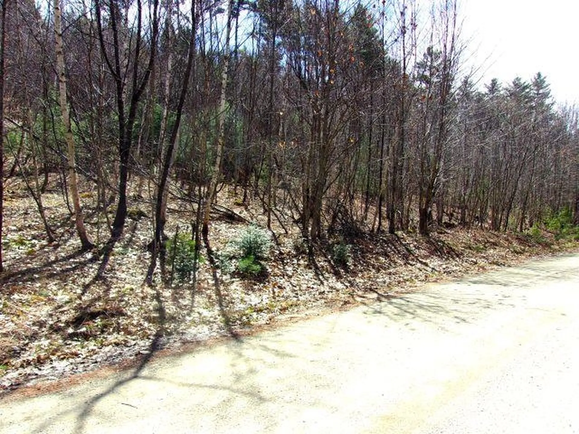 Swiftwater Circle Haverhill NH 03785