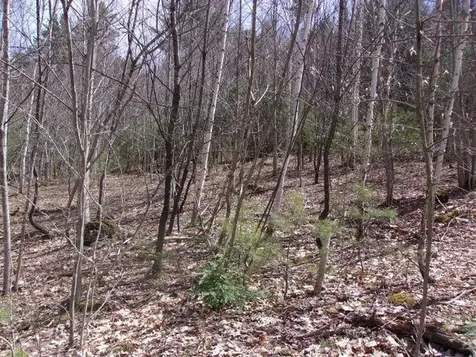 Swiftwater Circle Haverhill NH 03785