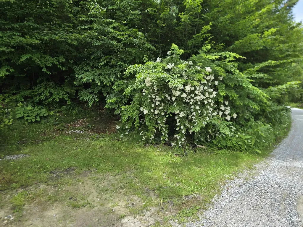 16 West Shore Drive Tinmouth VT 05773