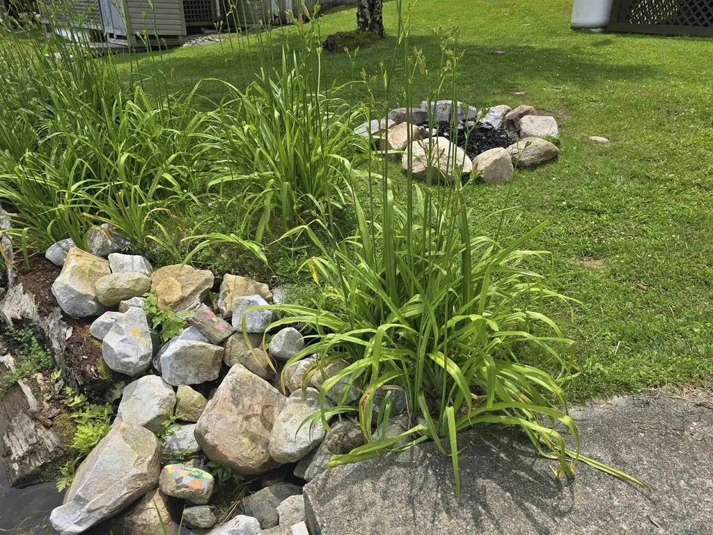 16 West Shore Drive Tinmouth VT 05773