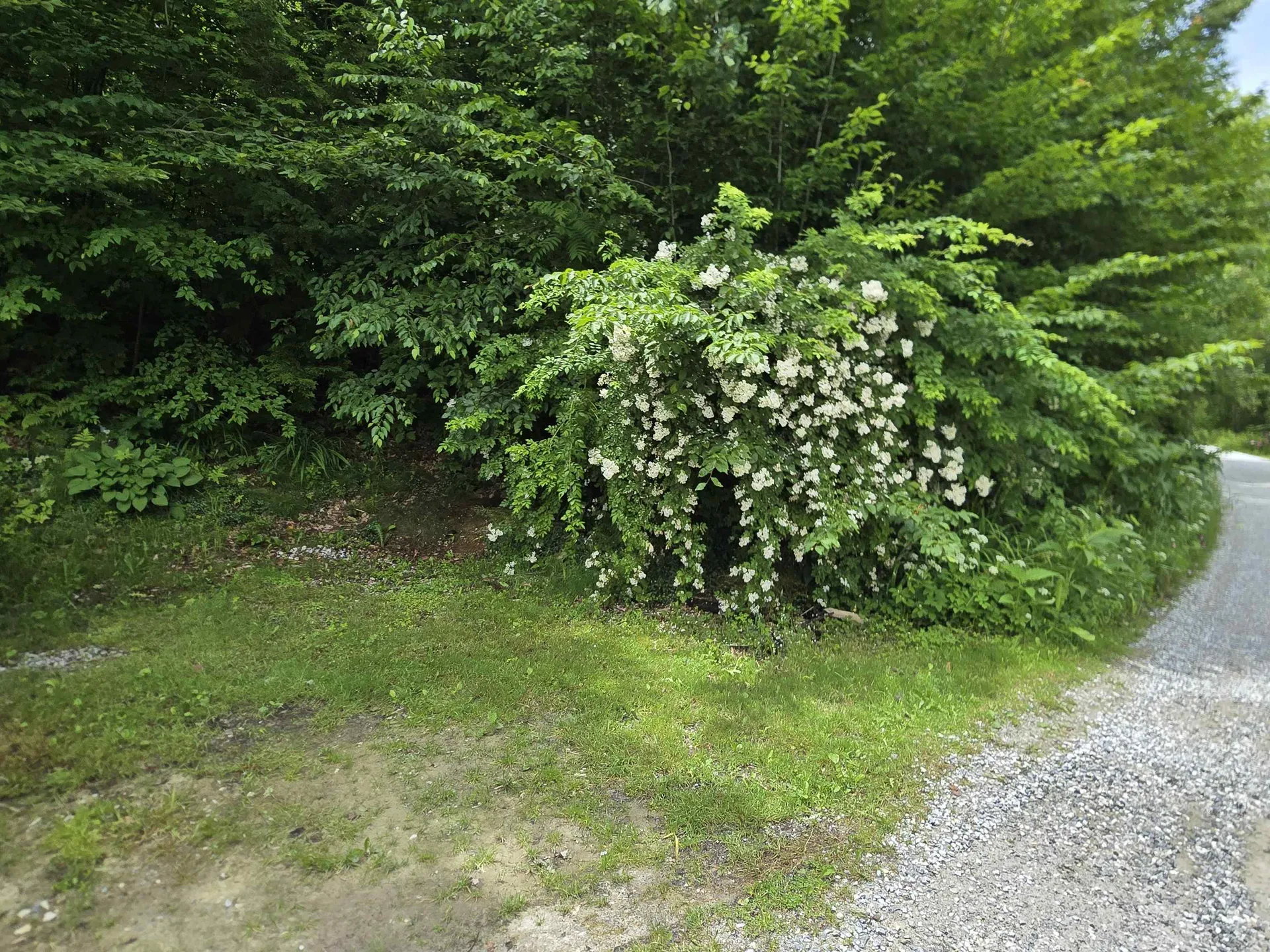 16 West Shore Drive Tinmouth VT 05773