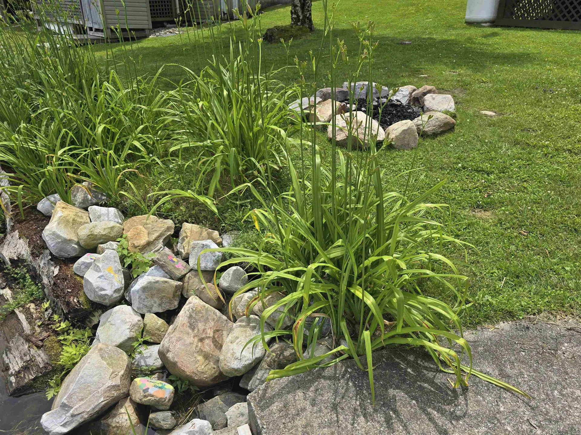 16 West Shore Drive Tinmouth VT 05773