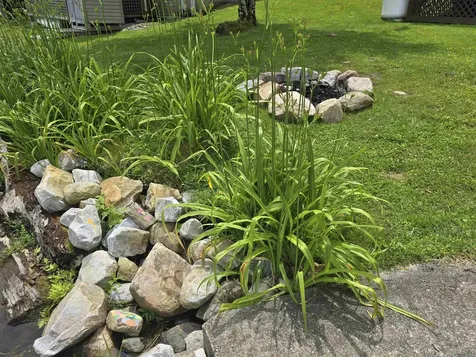 16 West Shore Drive Tinmouth VT 05773