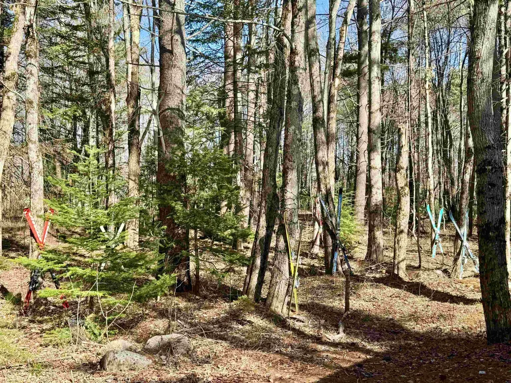 2659 Nh Route 16 Albany NH 03818