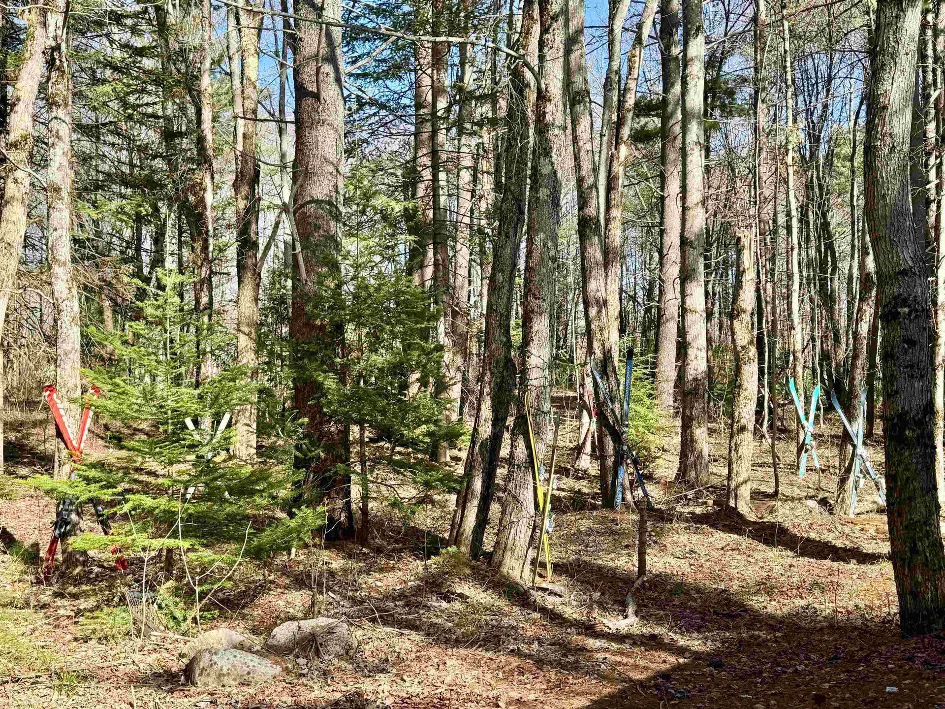 2659 Nh Route 16 Albany NH 03818