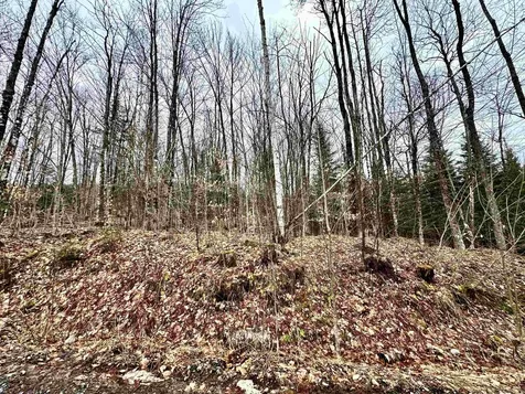 253 Washburn Road Columbia NH 03576