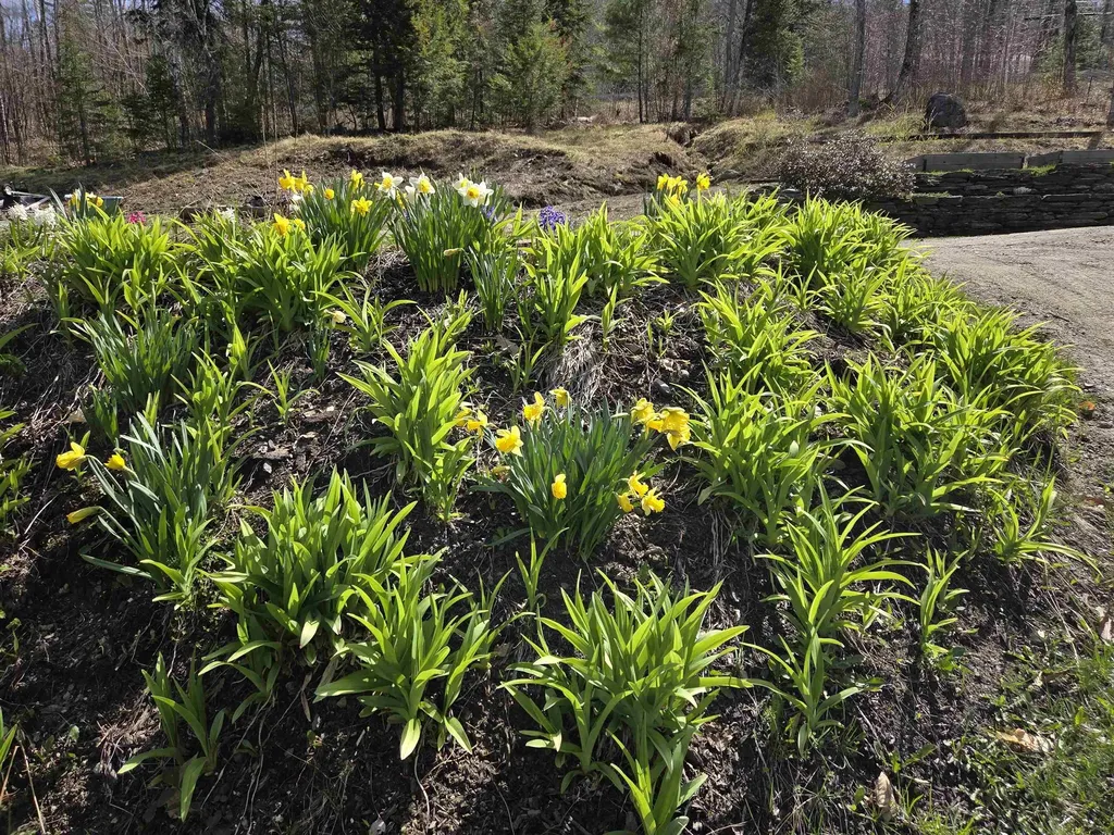 36 Grafton Pond Road Enfield NH 03748