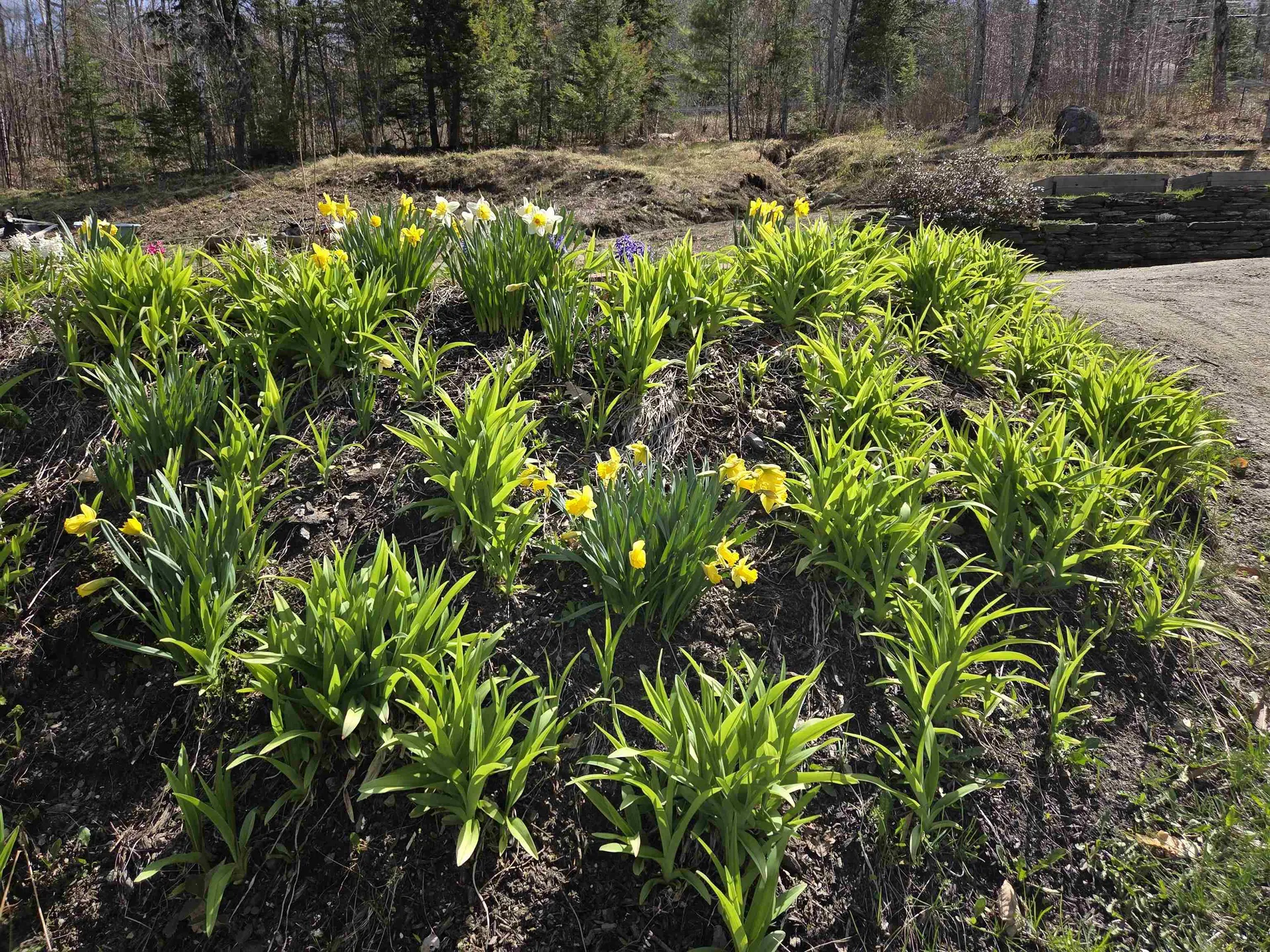 36 Grafton Pond Road Enfield NH 03748
