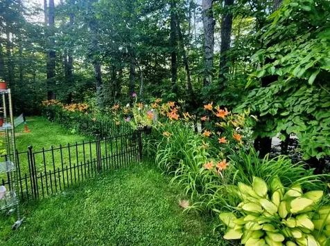 36 Grafton Pond Road Enfield NH 03748