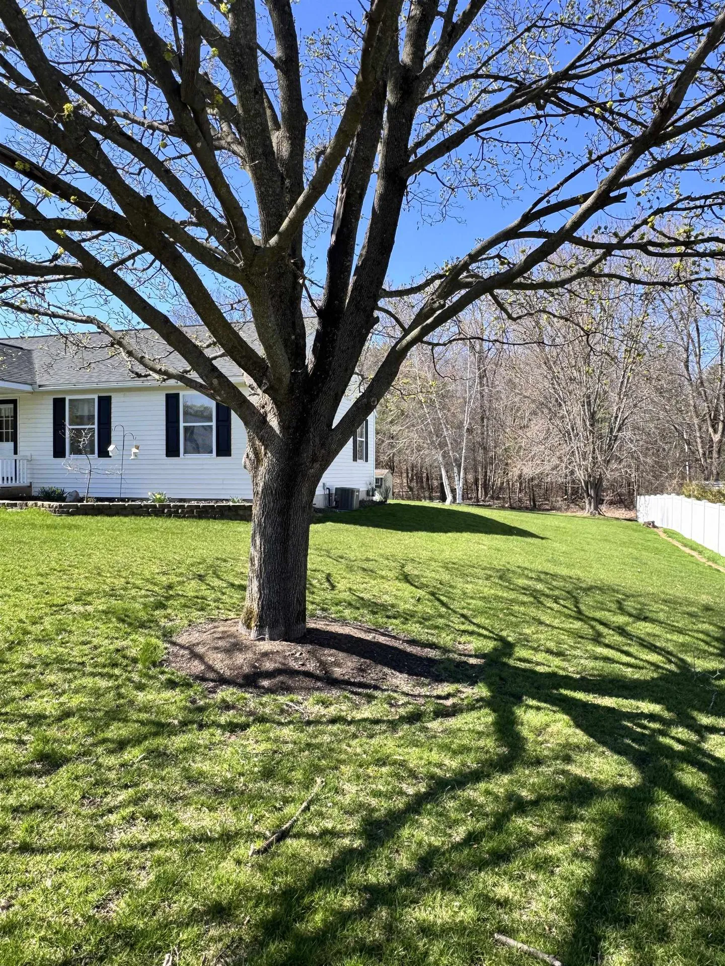 148 Jeffrey Drive Colchester VT 05446