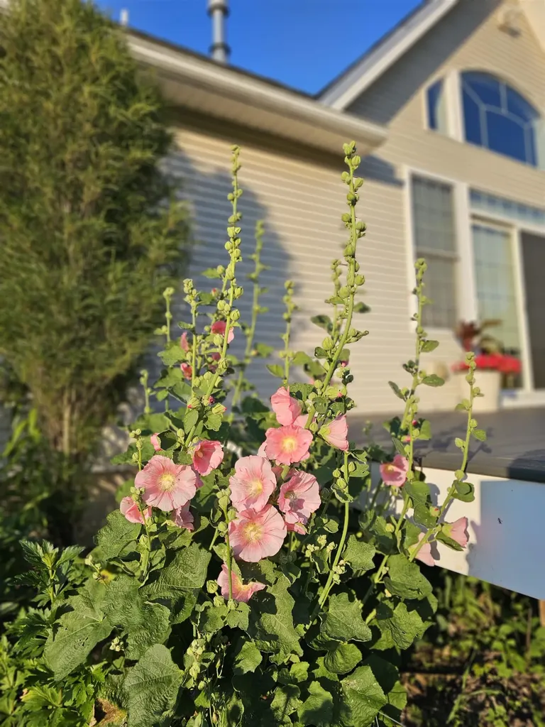 55 Braeside Place Ferrisburgh VT 05473