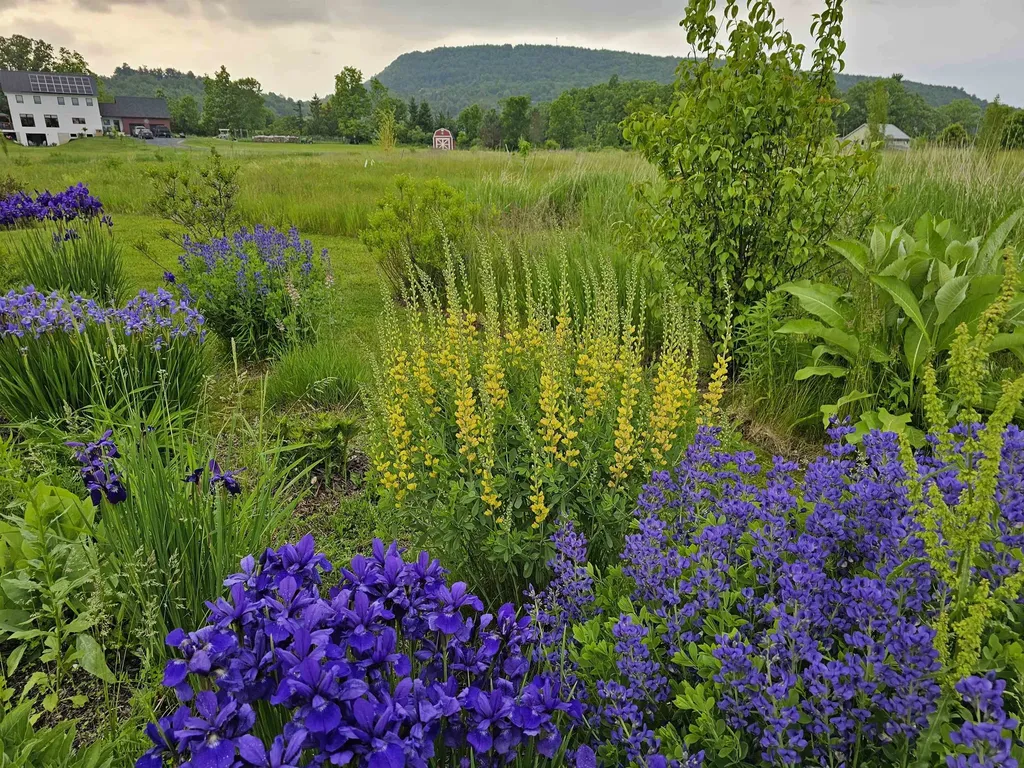55 Braeside Place Ferrisburgh VT 05473