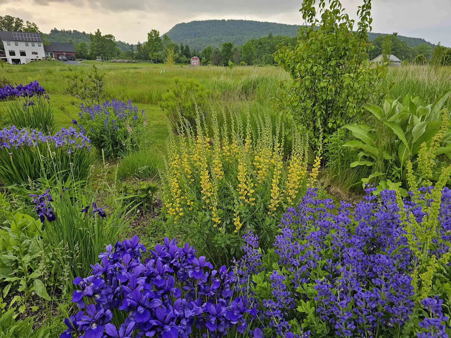 55 Braeside Place Ferrisburgh VT 05473