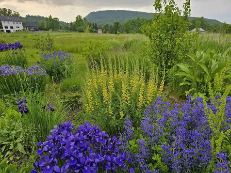 55 Braeside Place Ferrisburgh VT 05473