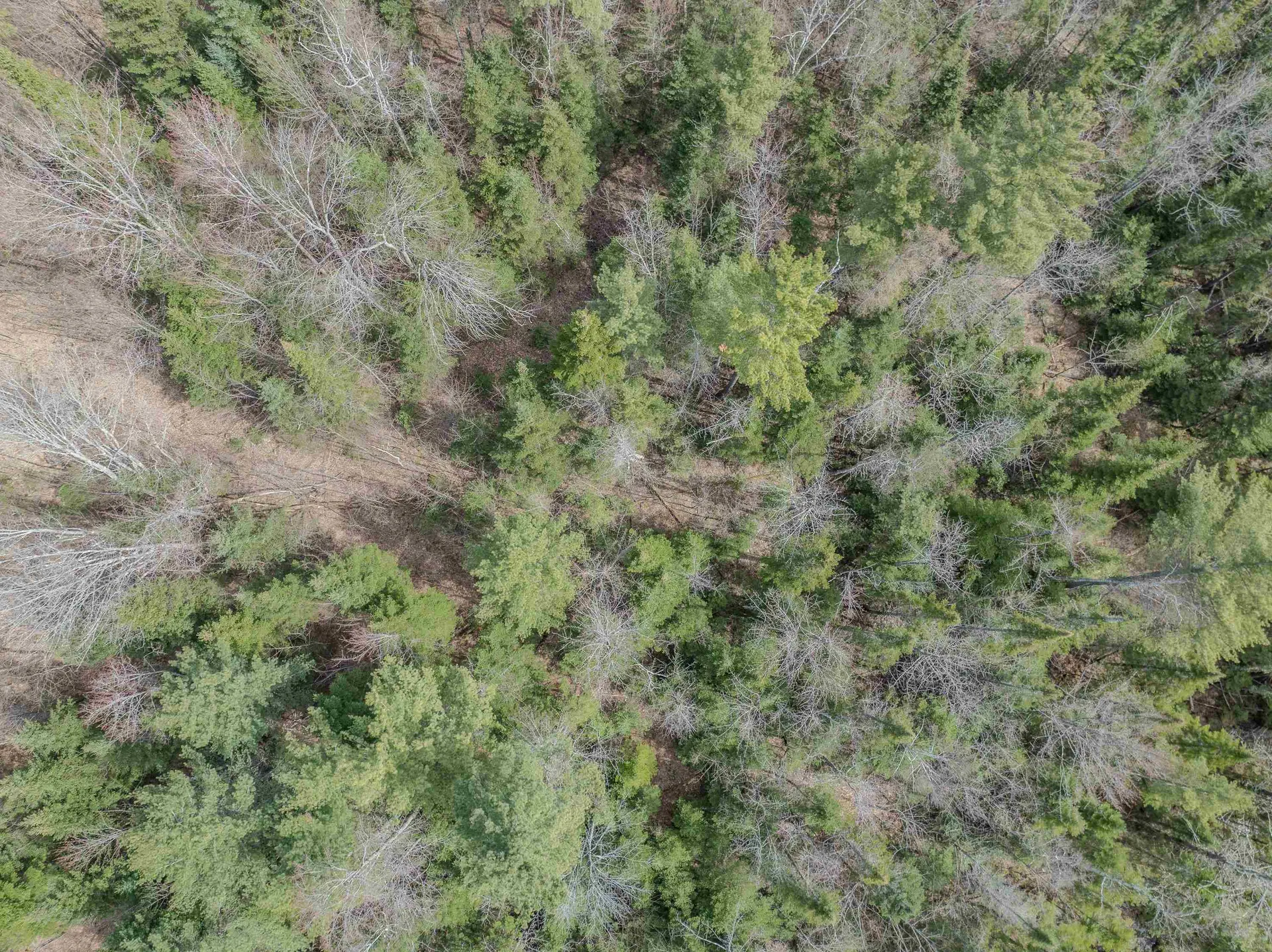 00 Gould Road Whitefield NH 03598