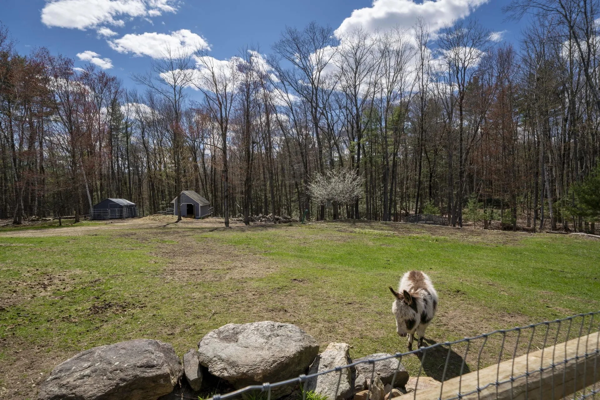 123 Stephen Drive Goffstown NH 03045