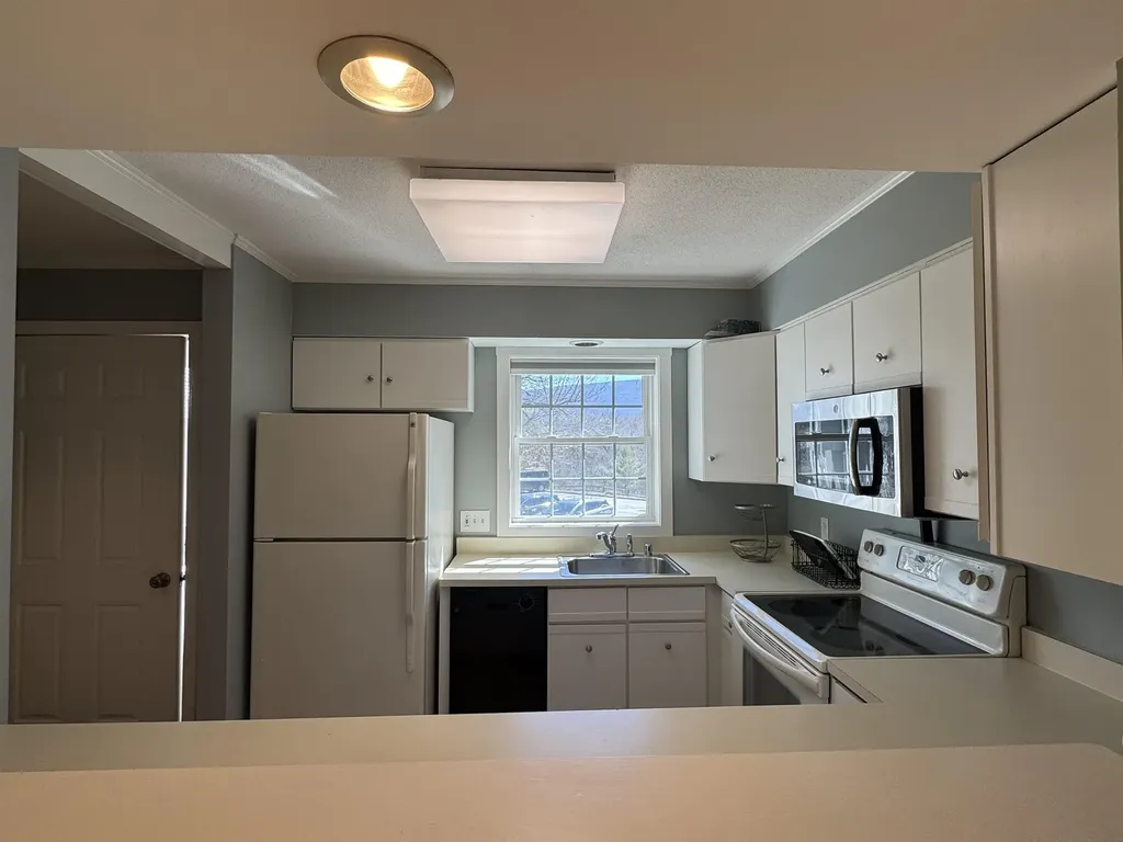 158 Riverside Townhouse Road Manchester VT 05255