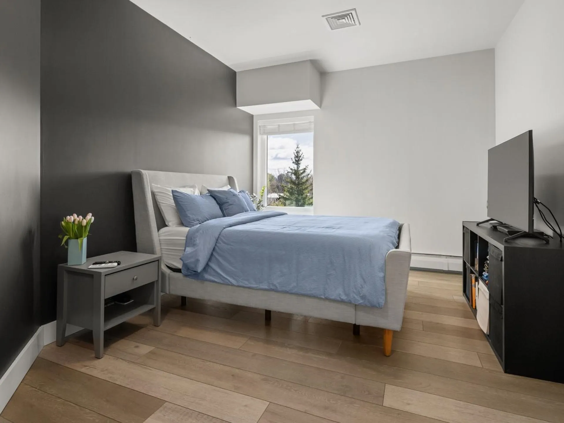 22 Kimball Avenue South Burlington VT 05403