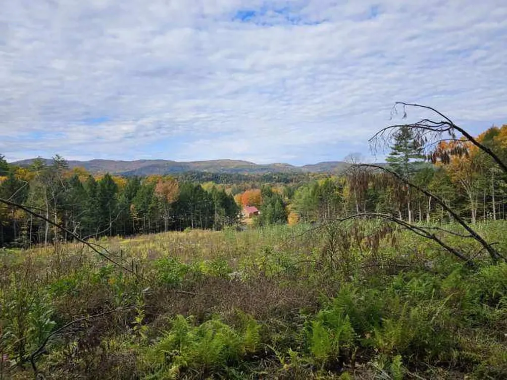 972 Dartmouth College Highway Orford NH 03777