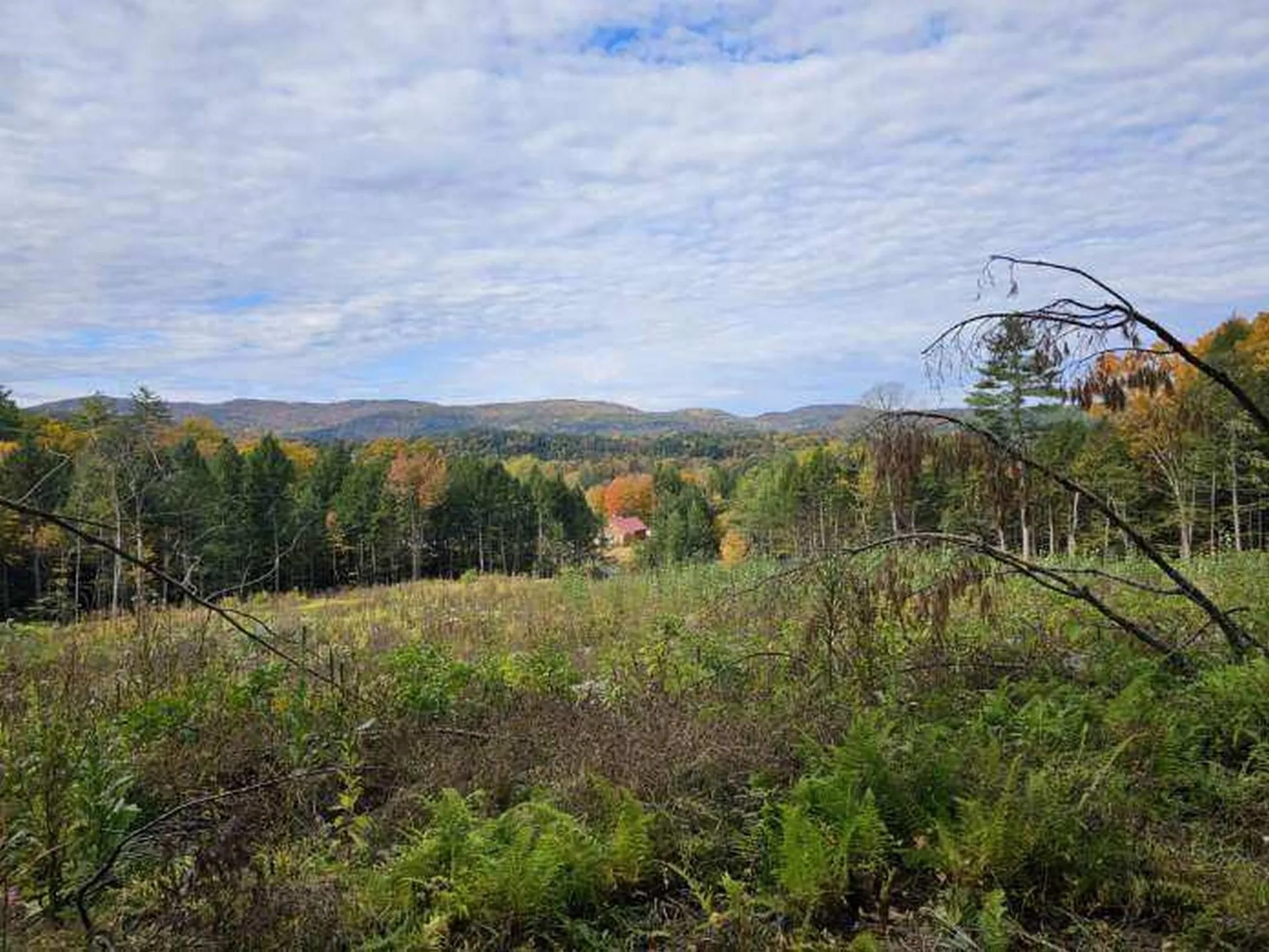 972 Dartmouth College Highway Orford NH 03777