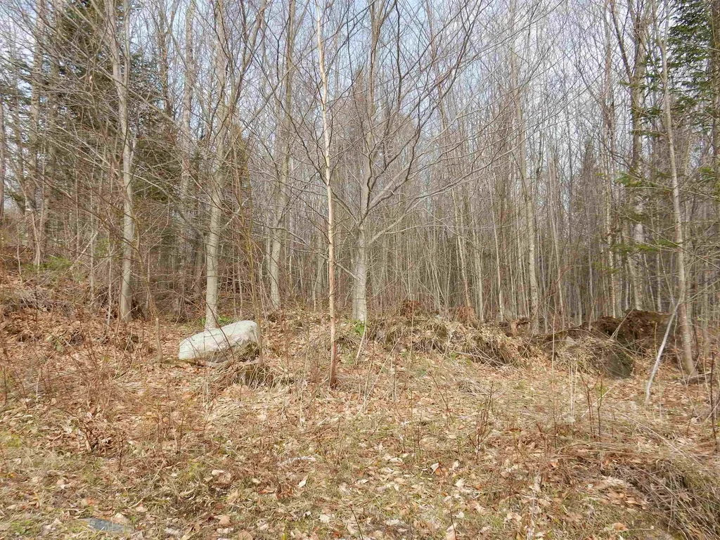 00 Burton Hill Road Barton VT 05822