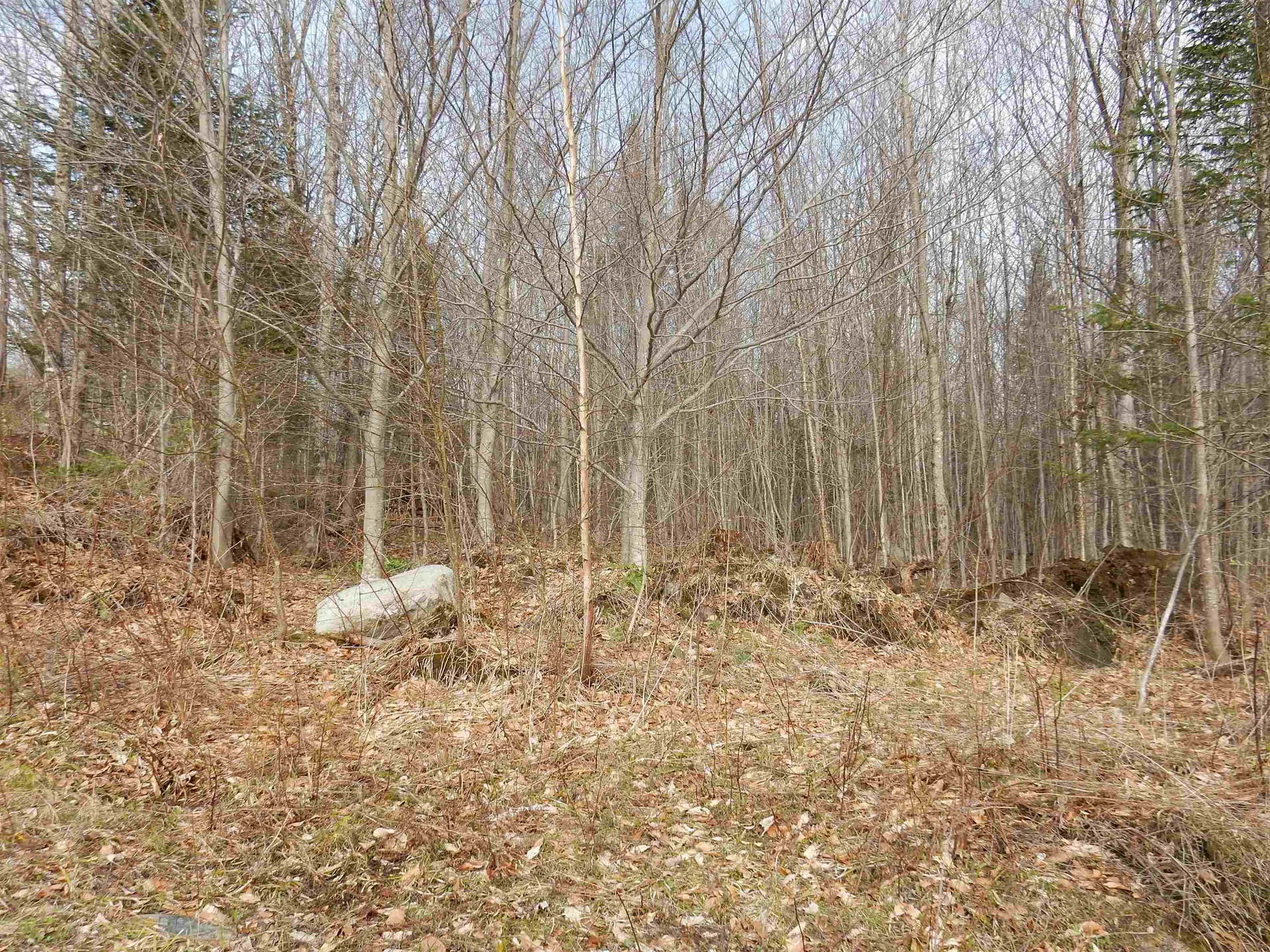 00 Burton Hill Road Barton VT 05822