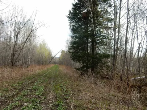 00 Burton Hill Road Barton VT 05822
