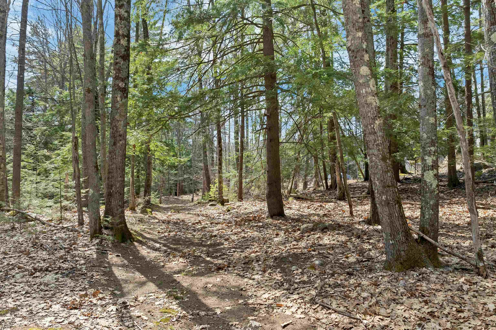 318 Kings Highway New Durham NH 03855