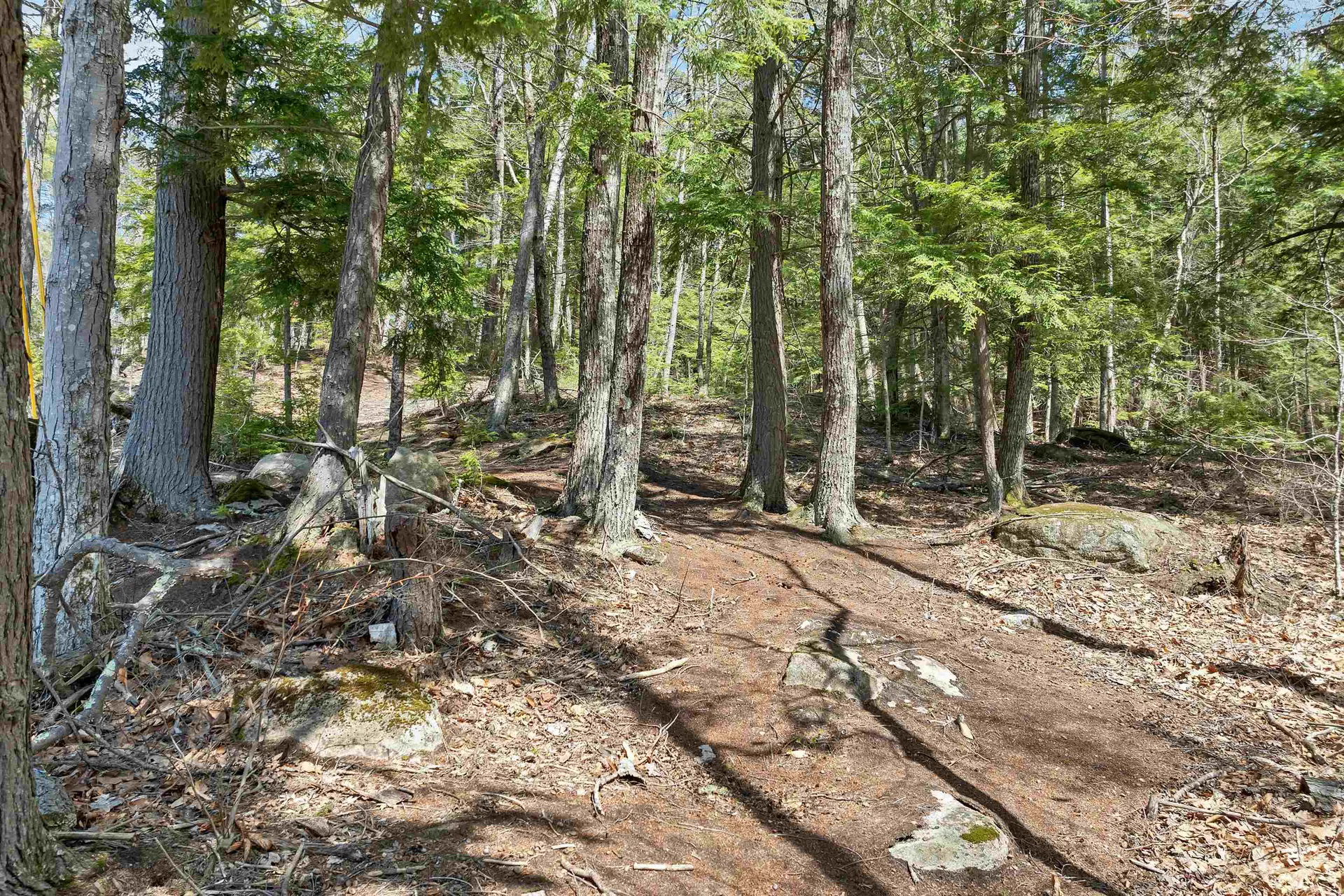 318 Kings Highway New Durham NH 03855