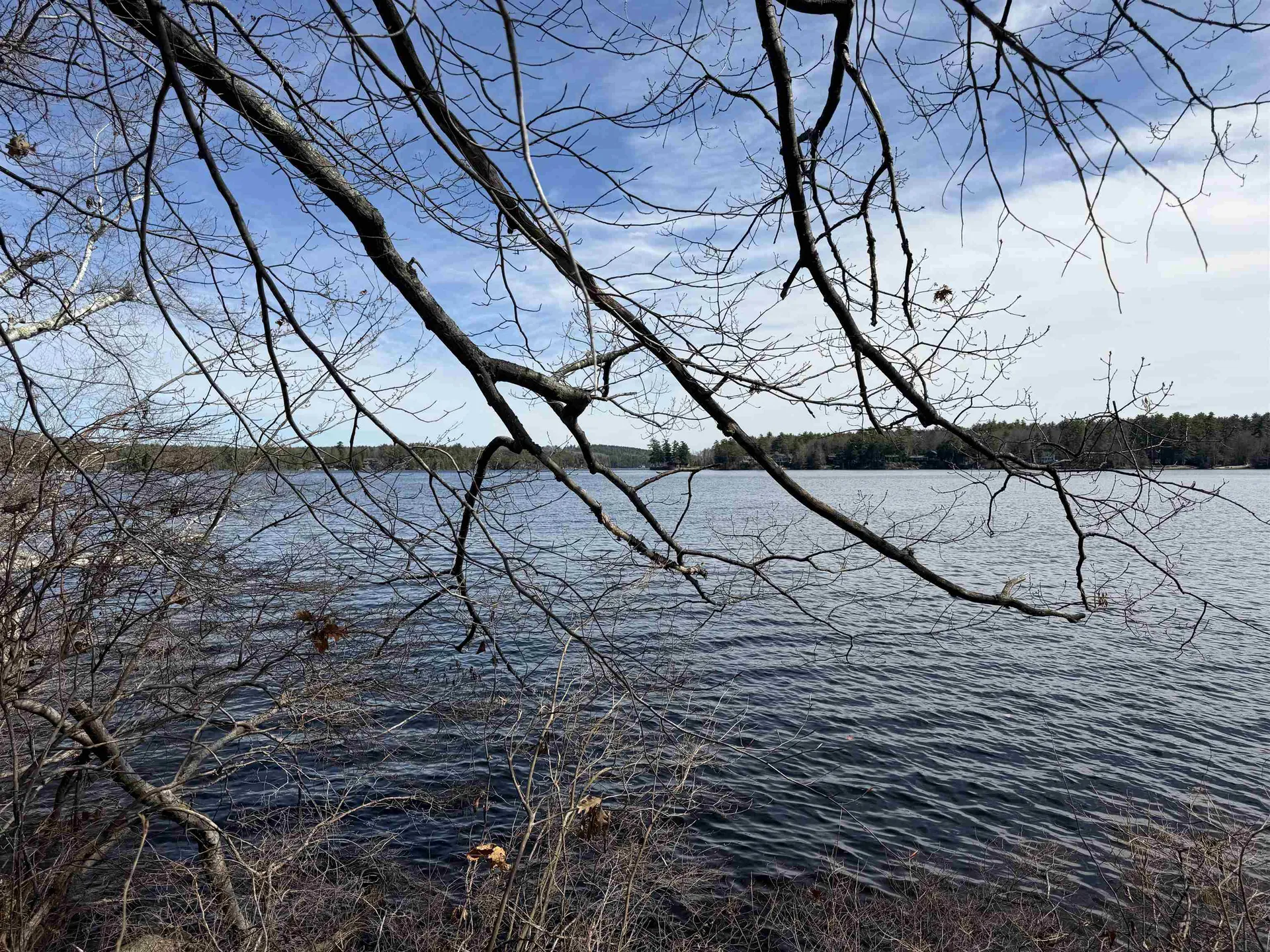 65.4 Gansy Island Moultonborough NH 03254