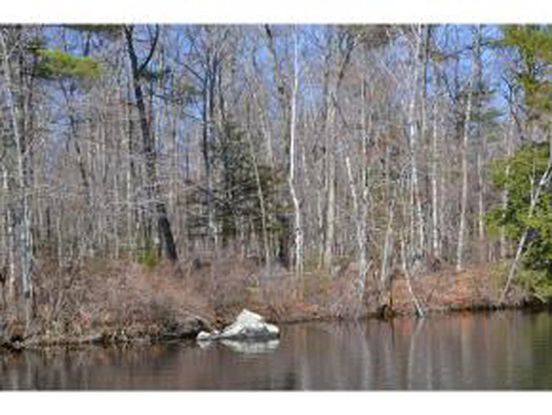 65.4 Gansy Island Moultonborough NH 03254