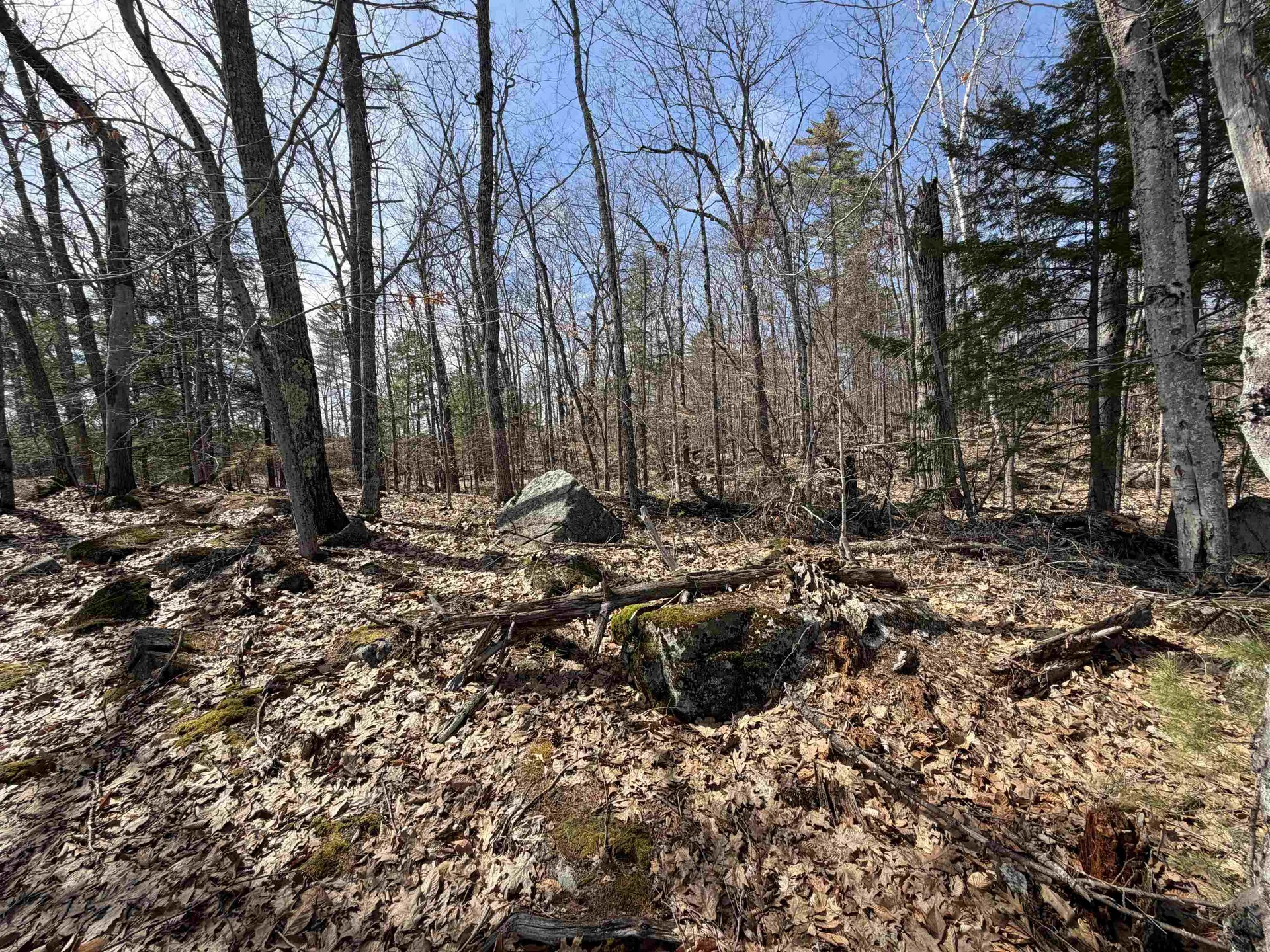 65.4 Gansy Island Moultonborough NH 03254